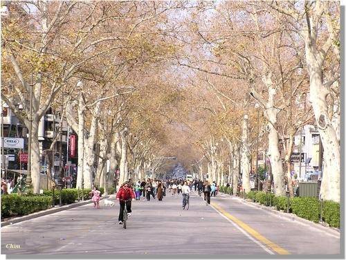 Hotel Elite, Palermo