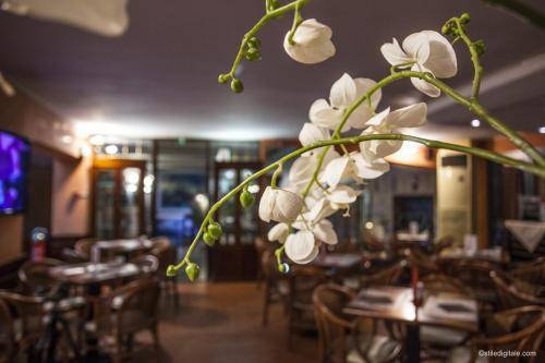 Hotel La Pace, Pisa