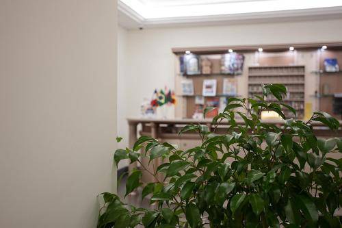 Albergo del Golfo, Naples