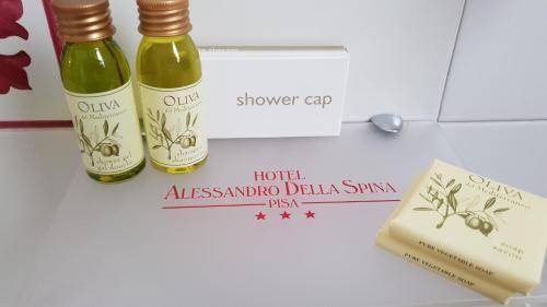 Hotel Alessandro Della Spina, Pisa