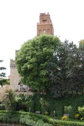 Culture Hotel Villa Capodimonte, Naples